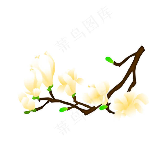 免扣卡通玉兰花黄色,免抠元素(2000X2000(DPI:300))psd模版下载