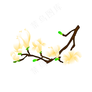 免扣卡通玉兰花黄色,免抠元素