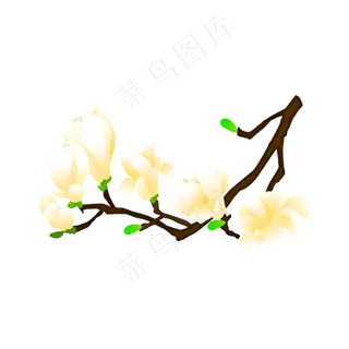 免扣卡通玉兰花黄色,免抠元素