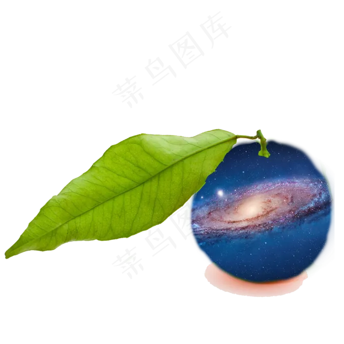 桔子植物种植生长绿色食品维生素(2000X2000(DPI:300))psd模版下载