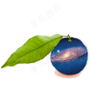 桔子植物种植生长绿色食品维生素