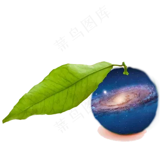 桔子植物种植生长绿色食品维生素