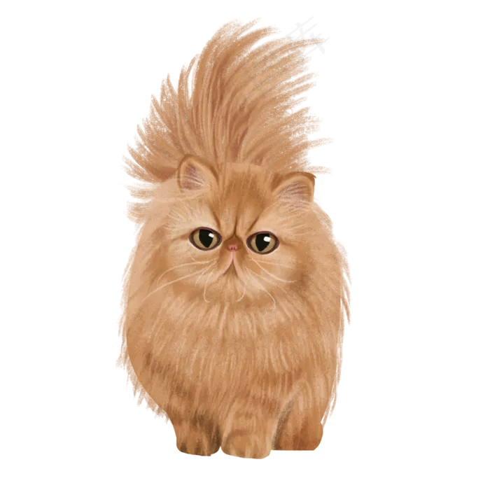 可爱宠物主子纯种波斯猫,免抠元素(3000*3000px 300 dpi )psd模版下载