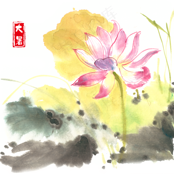 大暑娇艳荷花,免抠元素