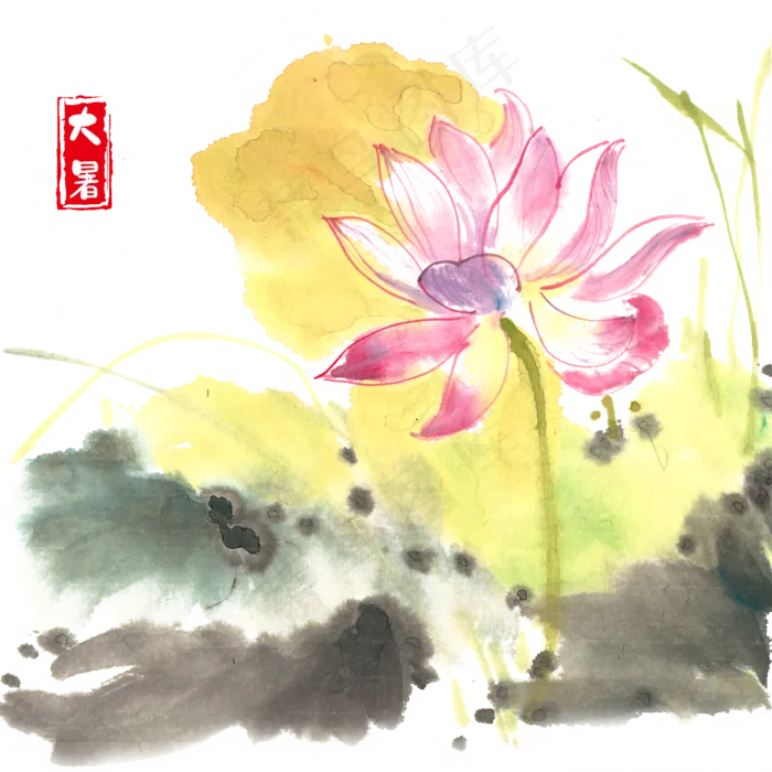 大暑娇艳荷花,免抠元素