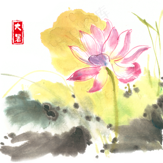 大暑娇艳荷花,免抠元素