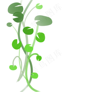 水彩风铜钱草样式藤蔓