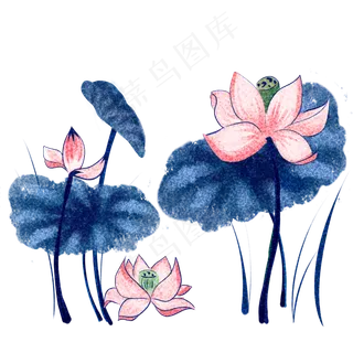 中国风国画荷花荷叶