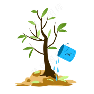 绿色的树木和水桶