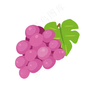 葡萄水果可商用元素