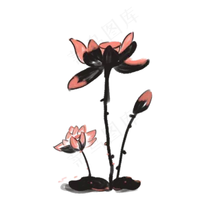 水墨荷花