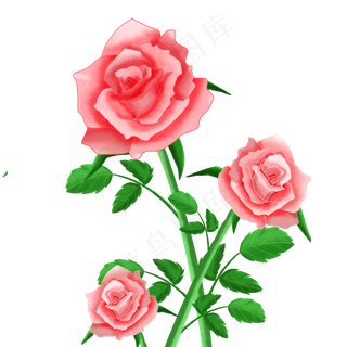 粉色手绘梦幻玫瑰花