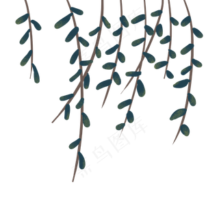 春天里发芽的柳枝柳叶