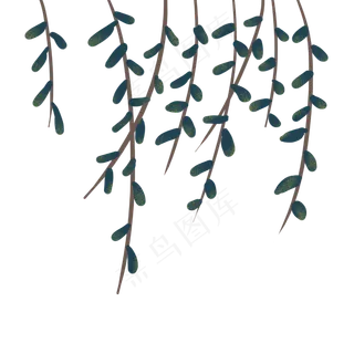 春天里发芽的柳枝柳叶