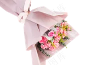 粉色系手绘花朵花捧花束