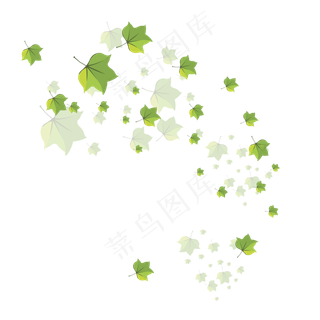 手绘植物树叶漂浮的叶子