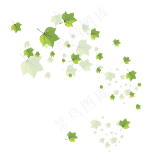 手绘植物树叶漂浮的叶子 手绘植物树叶漂浮的叶子