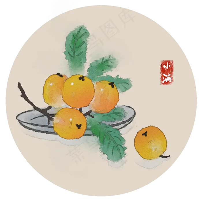小满枇杷24节气时令鲜果(2000X2000(DPI:300))psd模版下载