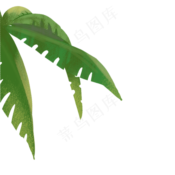 卡通植物叶子下载(2000X2000(DPI:300))psd模版下载
