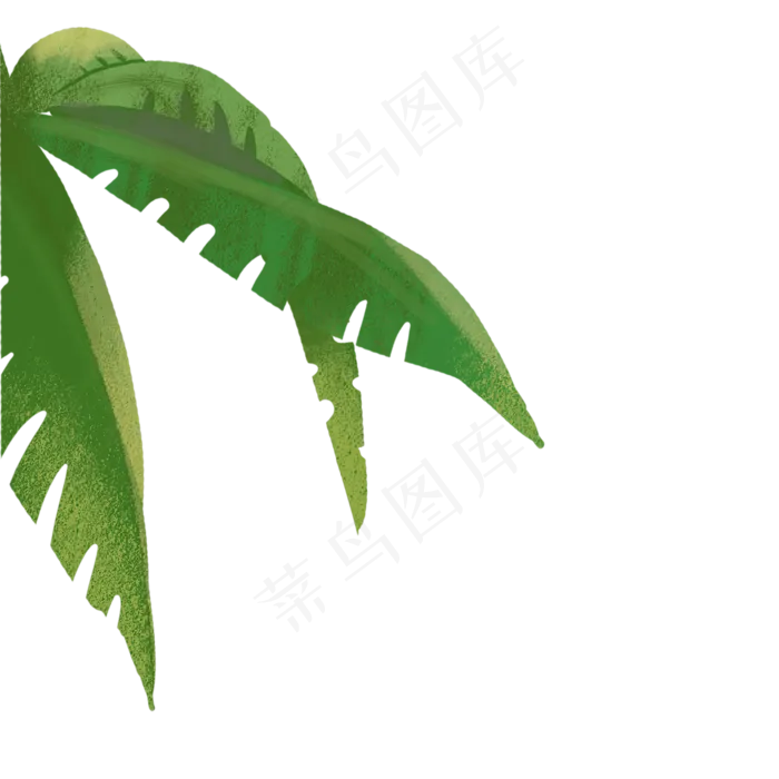 卡通植物叶子下载(2000X2000(DPI:300))psd模版下载