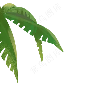 卡通植物叶子下载
