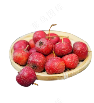 开胃水果山楂果