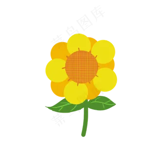 漂亮的向日葵花