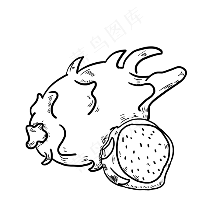 黑色水果火龙果素描(2000*2000px 300 dpi )psd模版下载