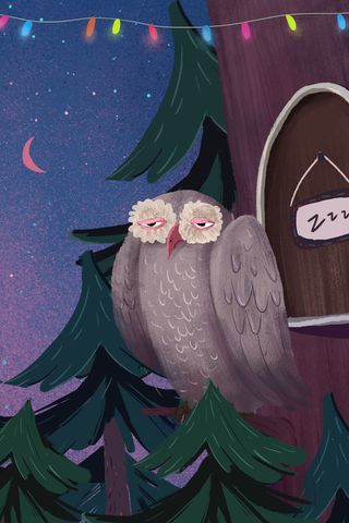 夜晚睡不醒的猫头鹰