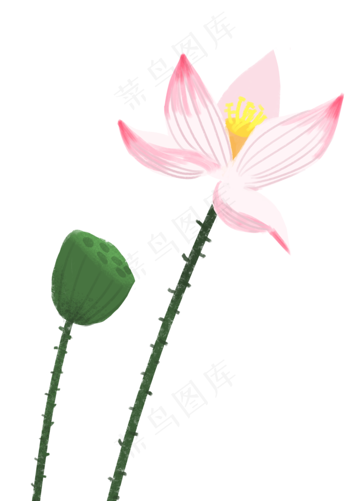 一枝荷花(1251X1791(DPI:300))psd模版下载