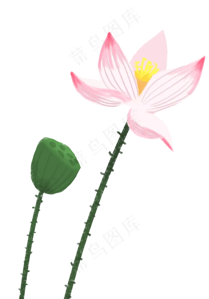 一枝荷花(1251X1791(DPI:300))psd模版下载
