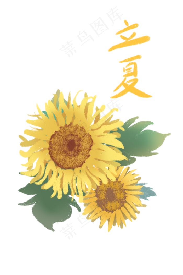 立夏夏日向日葵金黄茂盛PNG节气