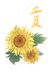 立夏夏日向日葵金黄茂盛PNG节气