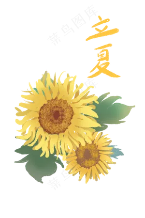 立夏夏日向日葵金黄茂盛PNG节气