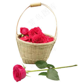玫瑰花篮
