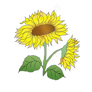 向日葵风向日葵花可商用元素