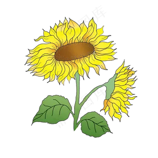 向日葵风向日葵花可商用元素