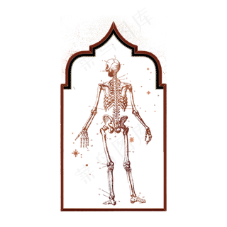 哥特朋克装饰玫瑰金色人体骨骼装