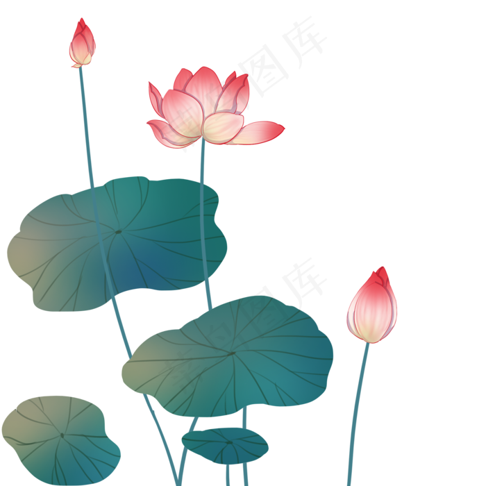 粉色荷花花苞(2000X2000(DPI:300))psd模版下载