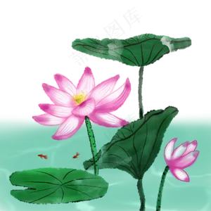 荷花春夏荷塘景色水墨水彩