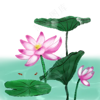 荷花春夏荷塘景色水墨水彩
