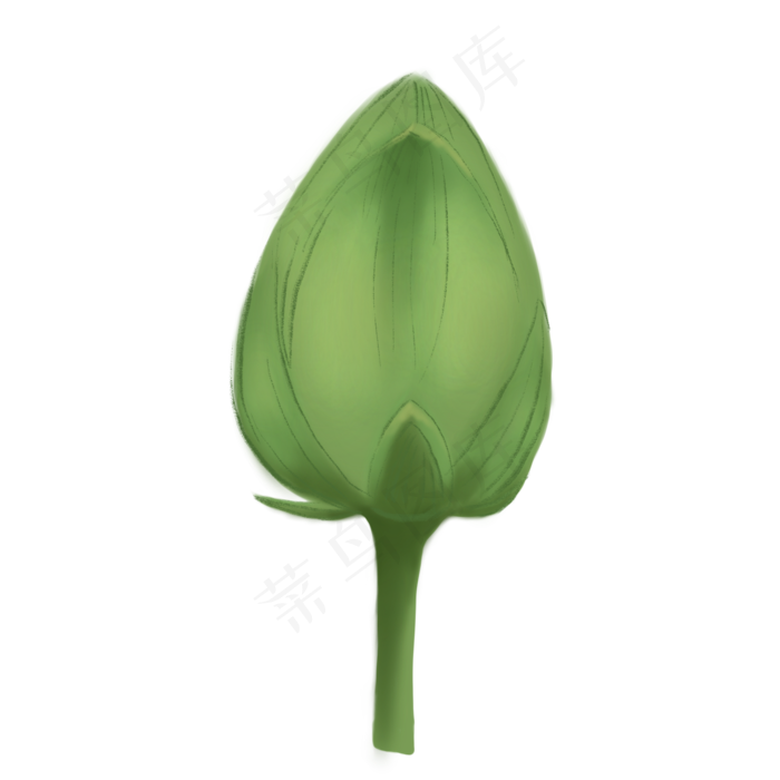 绿色荷花设计插图