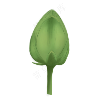 绿色荷花设计插图