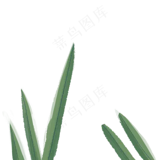 卡通春天植物绿叶