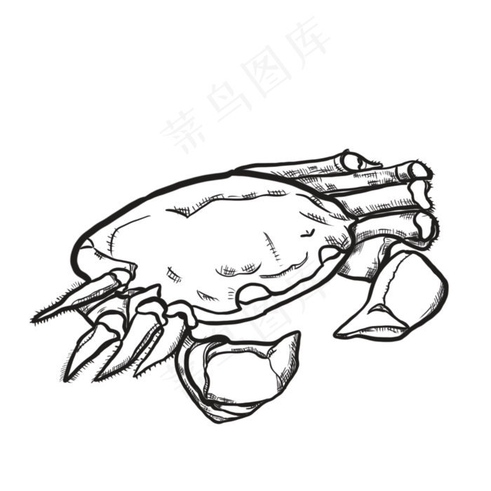 黑白线描大闸蟹食物