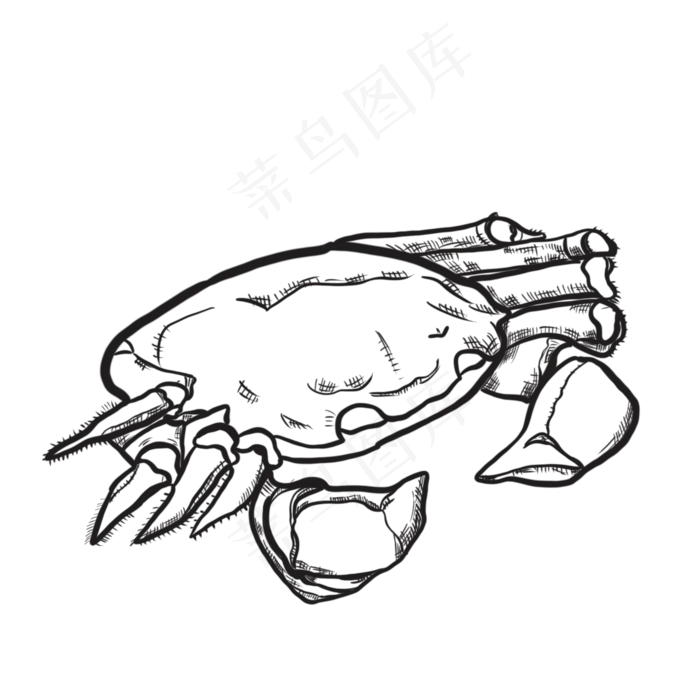 黑白线描大闸蟹食物(2000X2000(DPI:132))psd模版下载