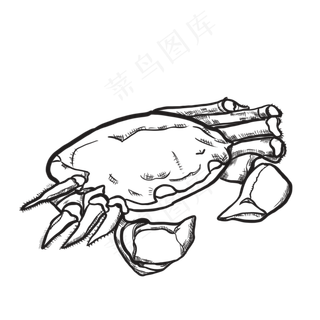 黑白线描大闸蟹食物