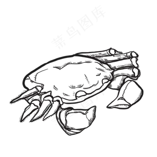 黑白线描大闸蟹食物