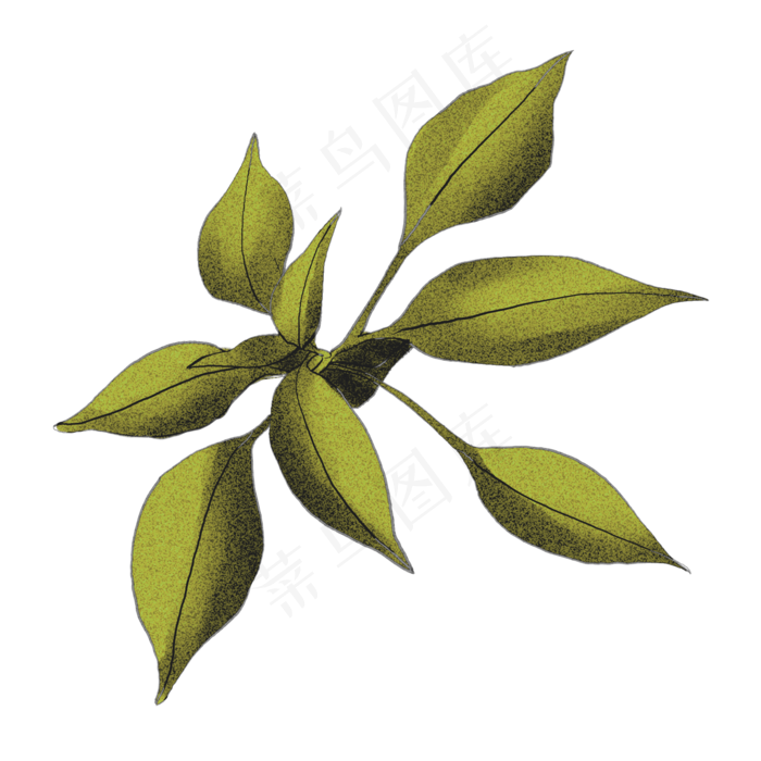 叶子处暑商用元素(2000X2000(DPI:72))psd模版下载
