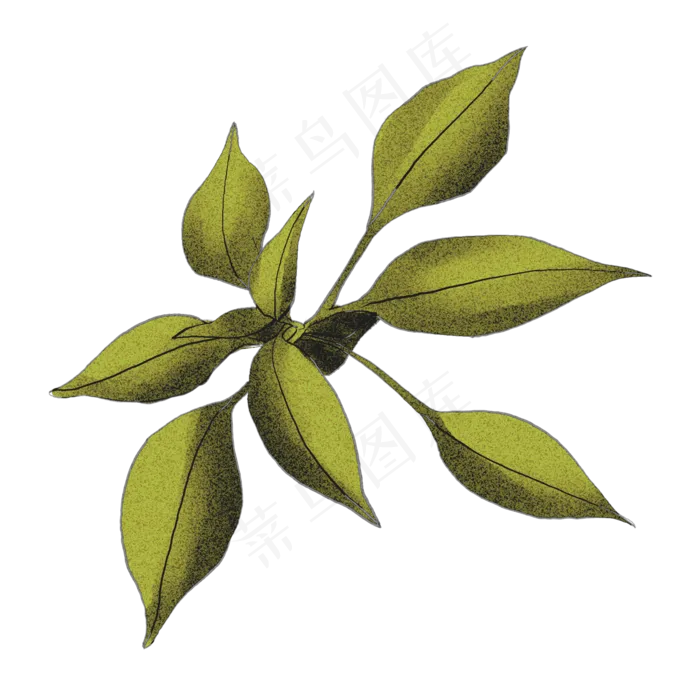 叶子处暑商用元素(2000X2000(DPI:72))psd模版下载